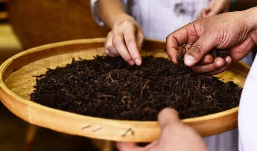 以散茶形式的云南大叶种晒青茶不是普洱茶？您当真不是在说笑？