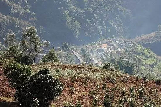 警惕：普洱茶市场要变天了