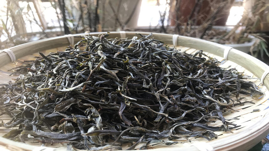 《老徐谈茶》第89期：都说卖的是古树茶，真有那么多古树茶？