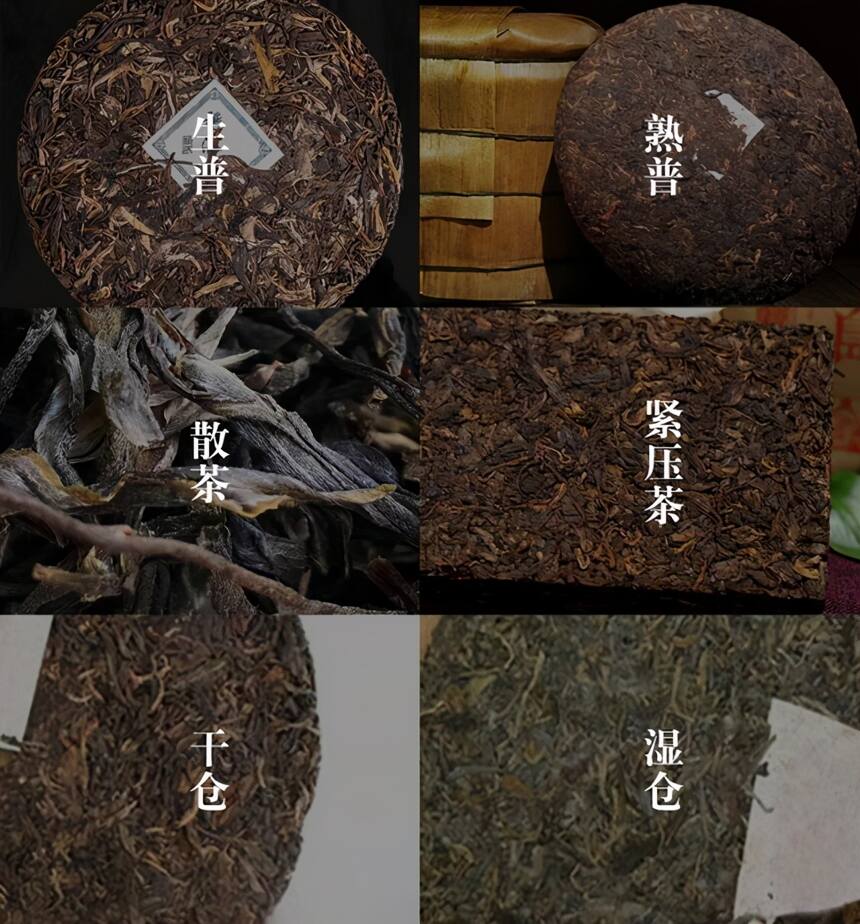 最全普洱茶知识攻略大全，值得收藏