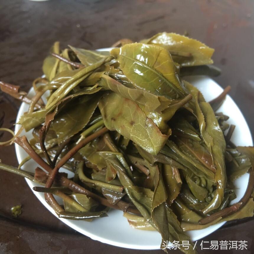 仁易说茶：普洱茶中的“止”学