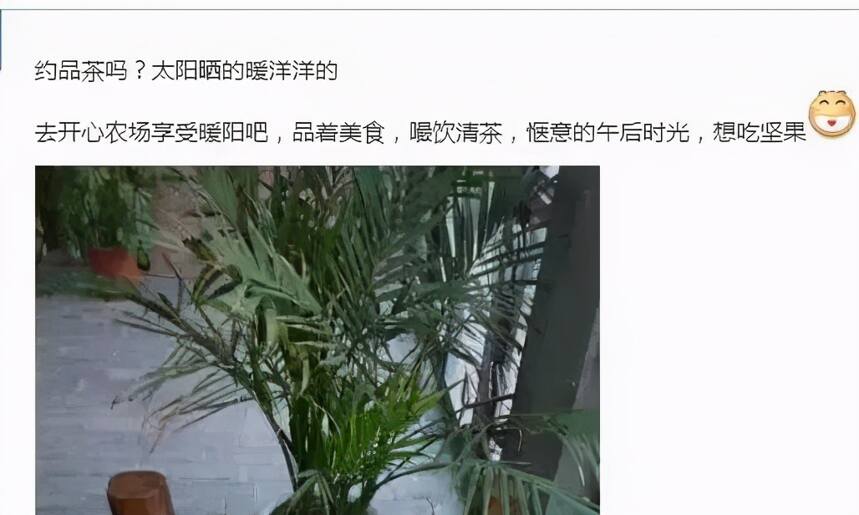 六大茶类卖茶套路！茶圈忽悠手段被彻底揭露，茶叶骗子瑟瑟发抖