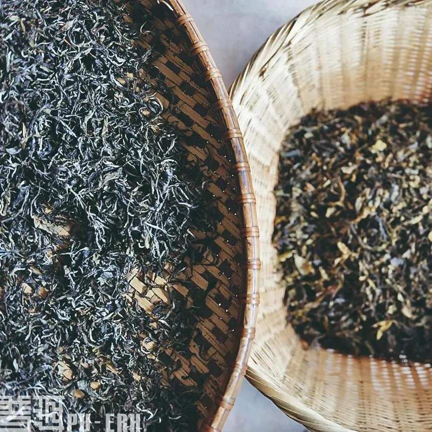 “原产地仓储让普洱茶更多云南味”辩