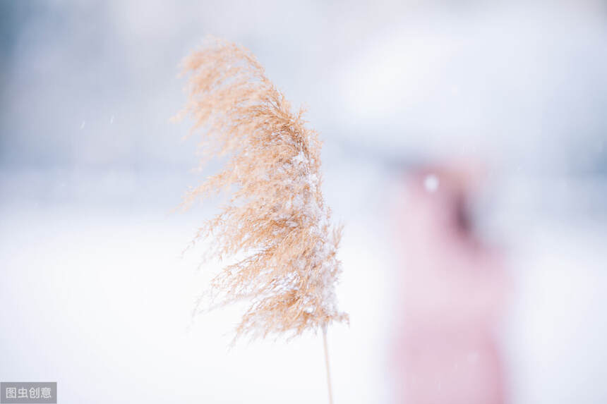 22日22时59分“小雪”: 应是天仙狂醉，乱把白云揉碎