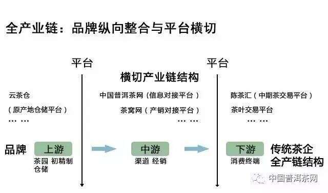 深度解读普洱茶未来市场的发展阶段