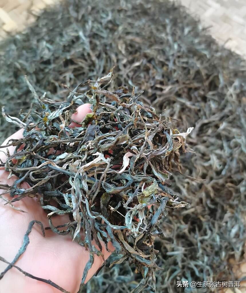 普洱拼配茶不如纯料茶好，真的有这么槽糕？拼配茶到底怎么样？