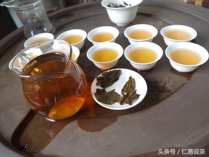 仁易说茶：普洱茶是茶人刚起步的地方