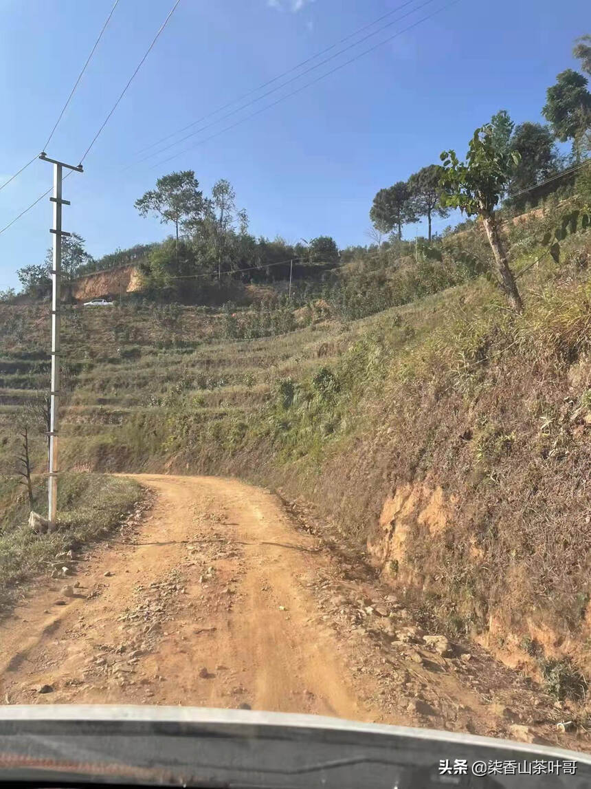 千里茶山始于足下，上茶山我在行动