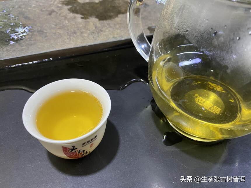 初识普洱茶的茶友，需要知道的知识点（很重要），你知道多少？