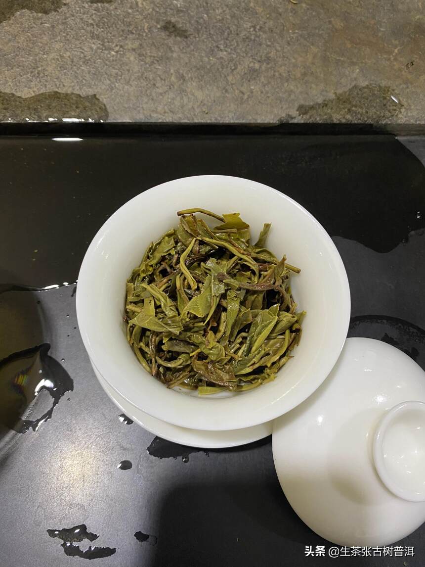 初识普洱茶的茶友，需要知道的知识点（很重要），你知道多少？