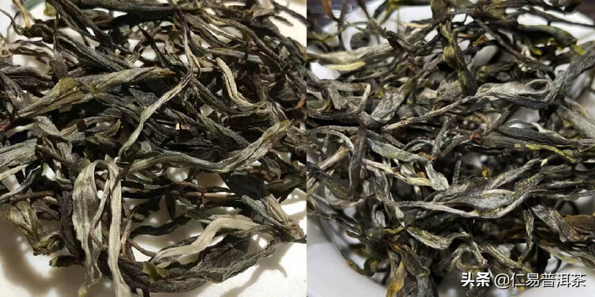 普洱茶是炒作？还是货真价实？