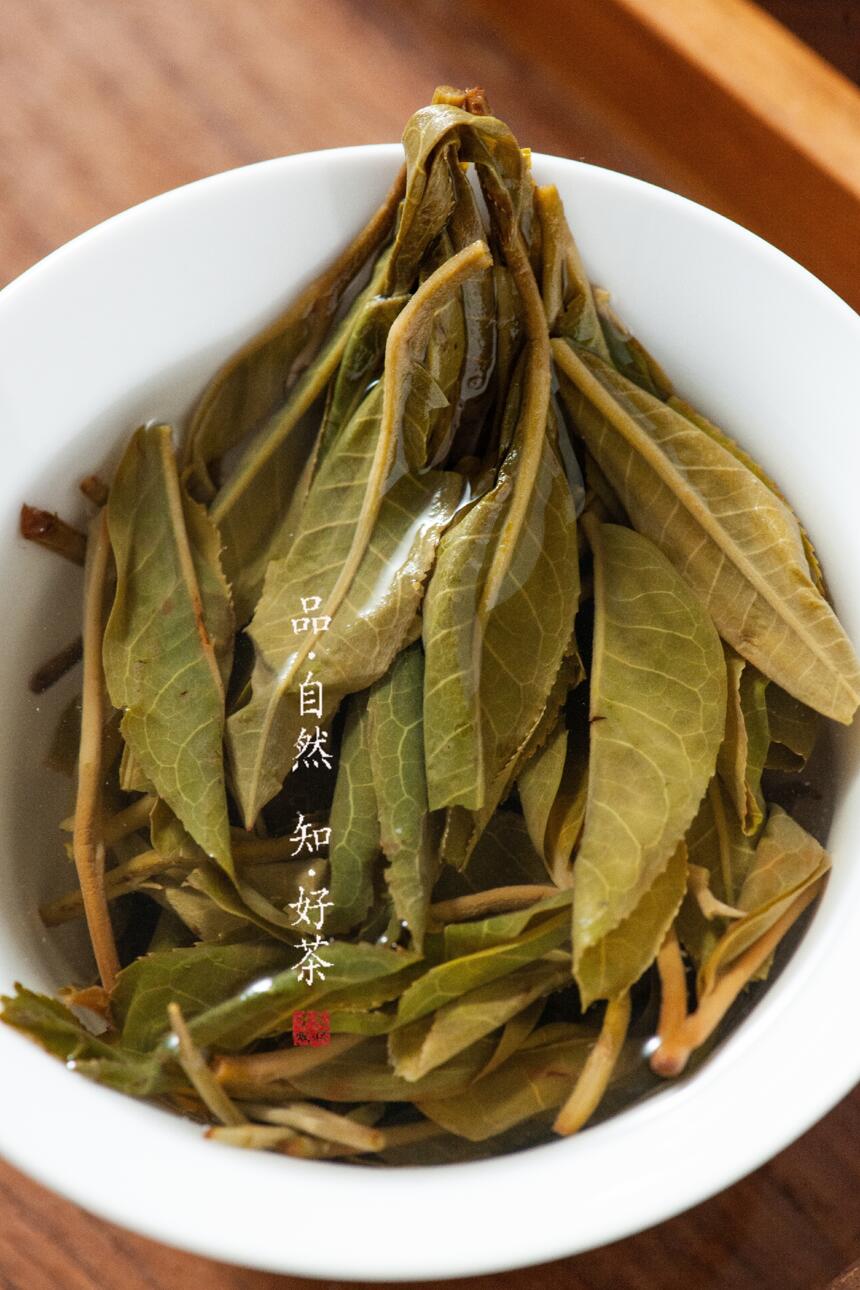 香气高扬的普洱茶，就一定能越陈越香吗？