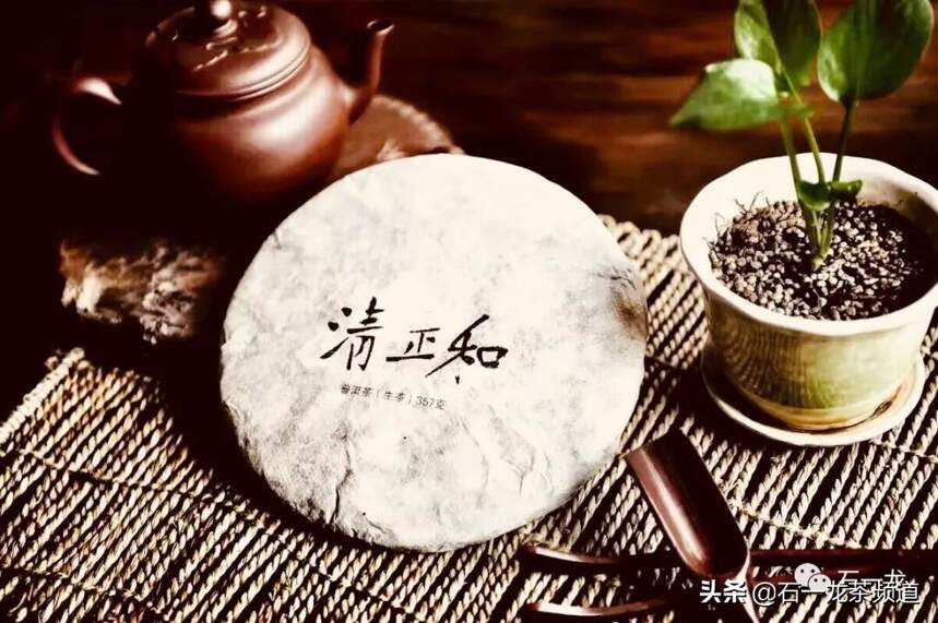 大朝台：山间聊茶（二）