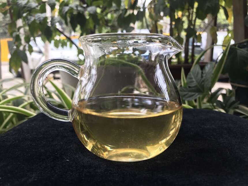 《老徐鉴茶》第307期：2018景谷古树茶品鉴报告（广东茶友寄）