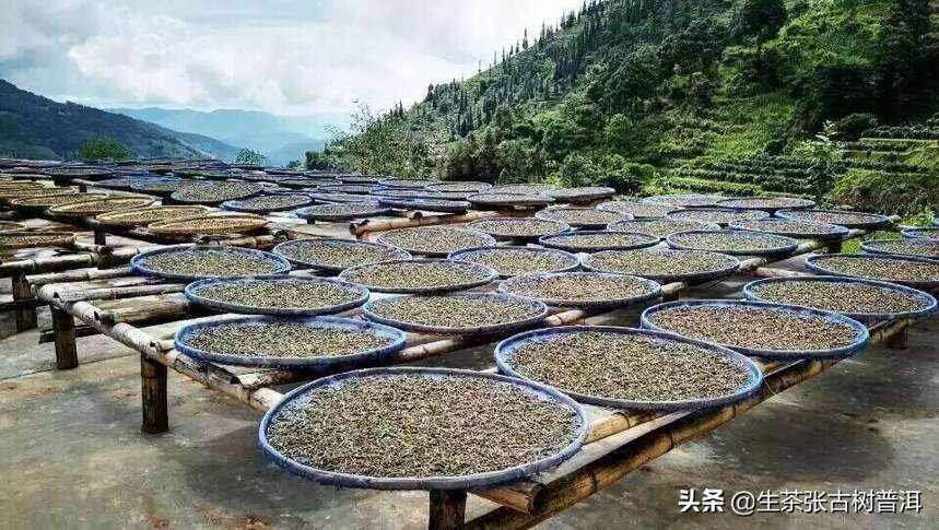 一次搞明白！10个常见的普洱茶叶术语与定义！收藏备用