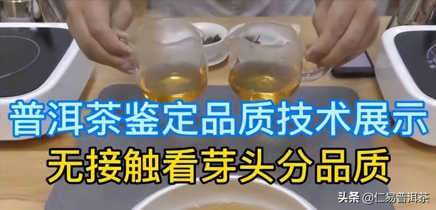 2022年茶叶品质总结，老班章茶王树的现状