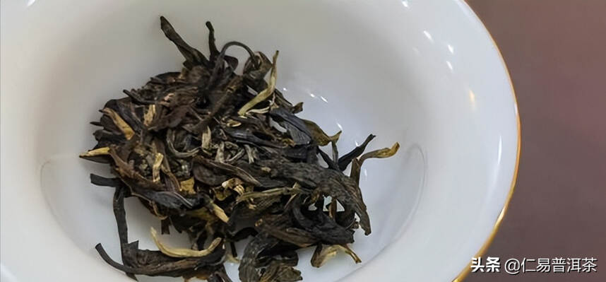 怎样从事普洱茶行业算是专业人才？只喝老茶的茶人是完整的么？