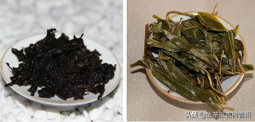 保存普洱茶饼有哪些注意事项？对存放容器有什么要求？