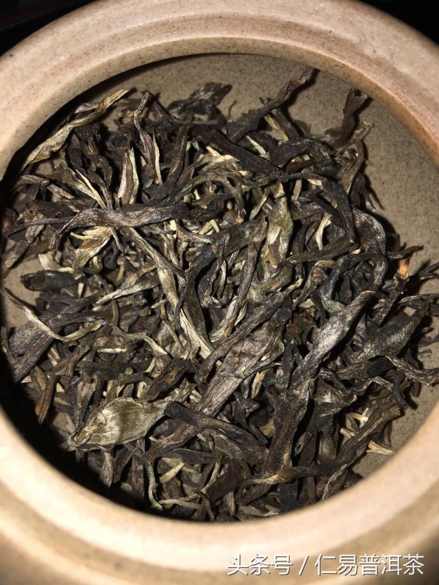 仁易说茶：没有跟对人，终端茶商难挣钱