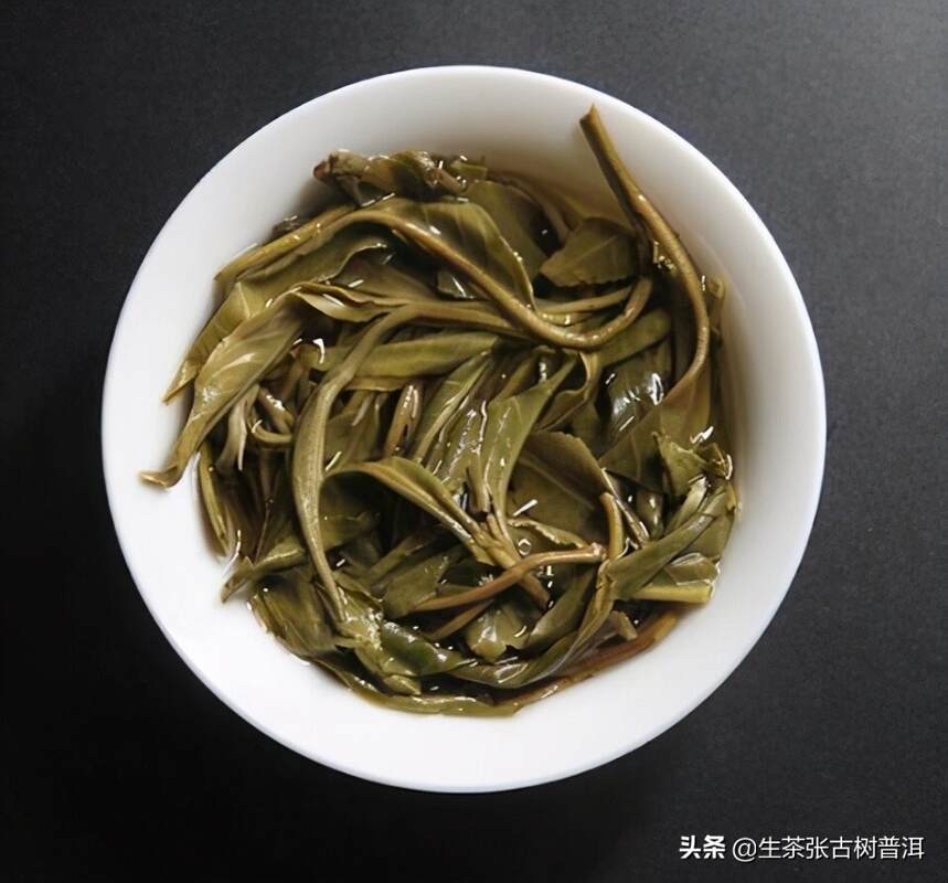 喝普洱茶为什么有苦味？有苦味的普洱茶还能喝吗？