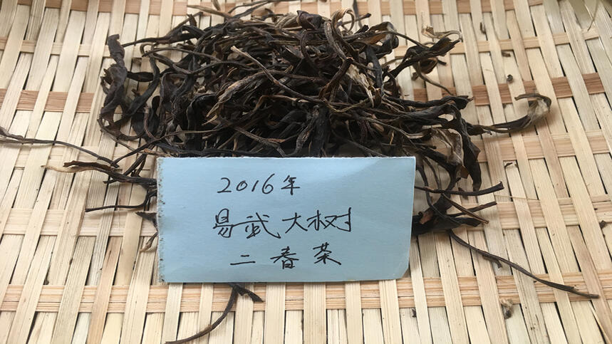 老徐鉴茶第99期：2016年易武大树二春茶品鉴报告（深圳茶友寄）