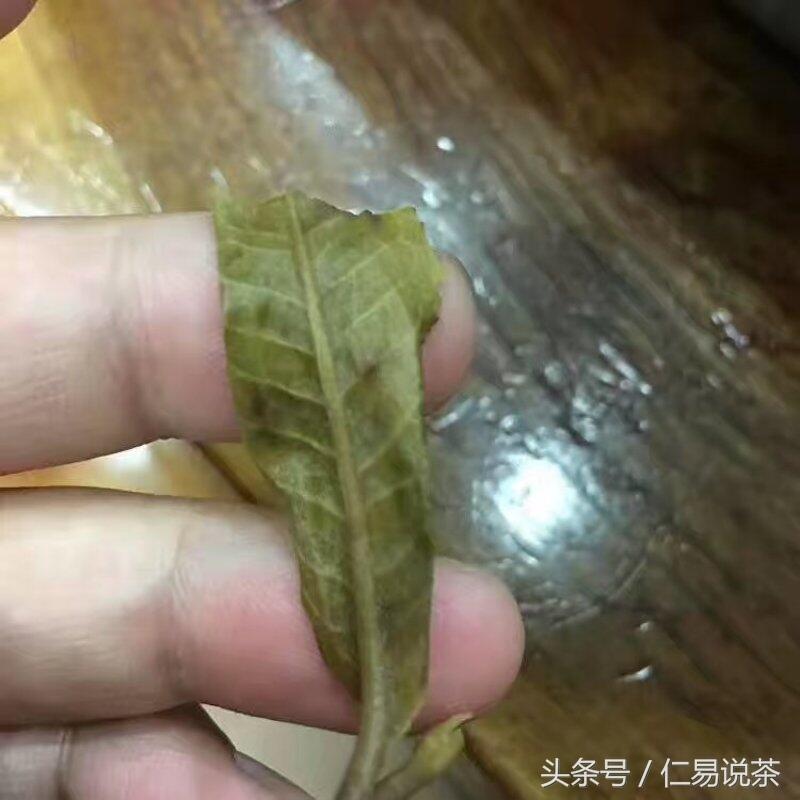 仁易说茶：干仓与越陈越香的普洱茶究竟符合科学么？