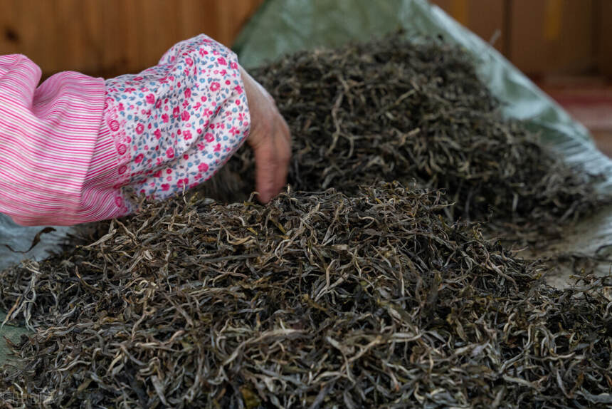 普洱茶的三种传统制法，你知道哪一种？