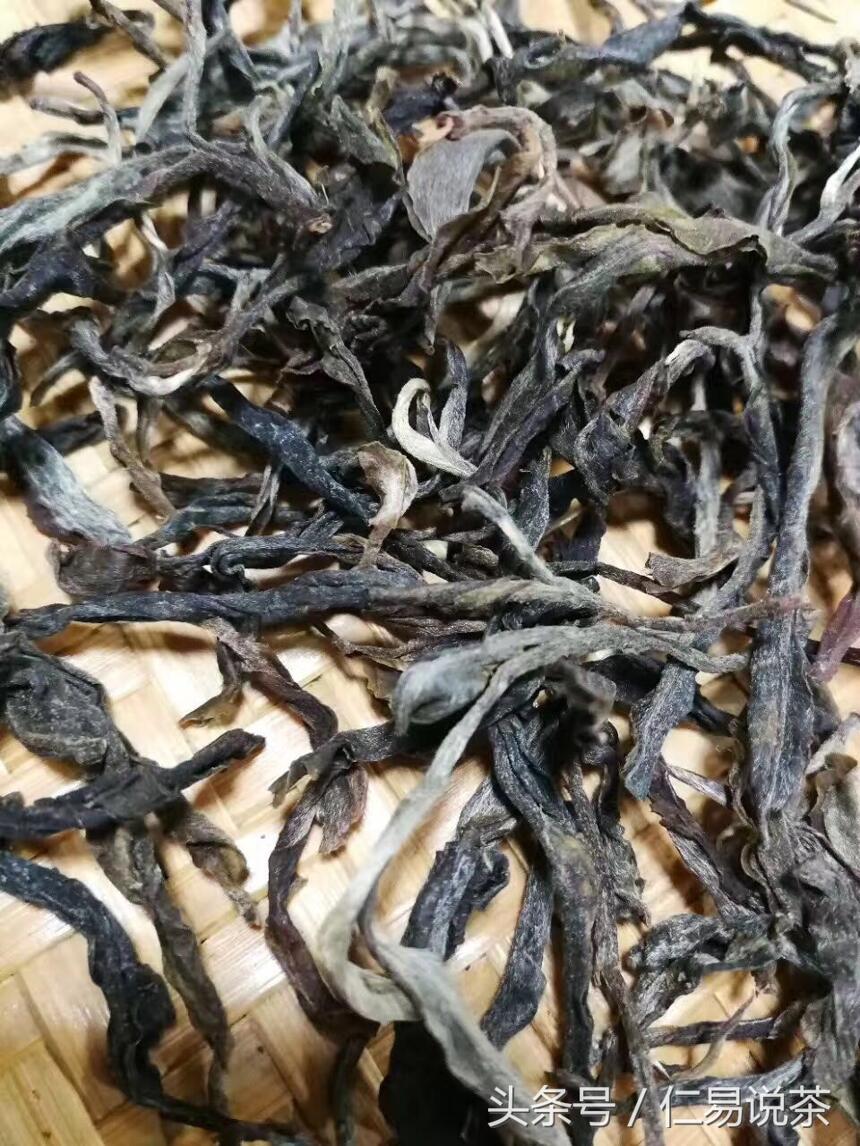 仁易说茶：科学解决不了普洱茶本身与茶树的问题