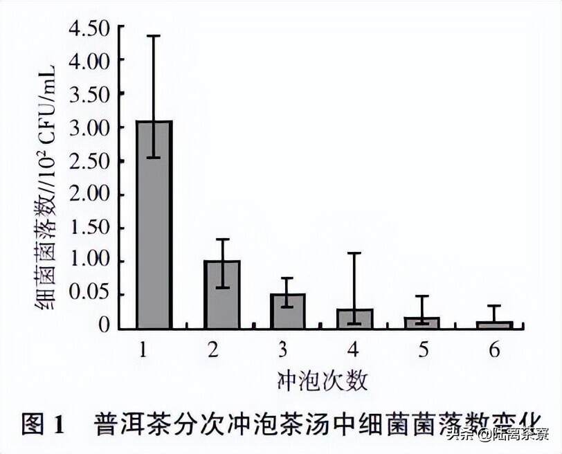 喝一口茶汤会吃进百万细菌！普洱茶上到底有多少微生物？