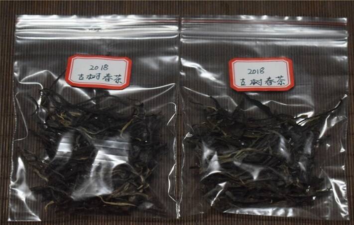 一起来学茶之初喝普洱如何选茶（第3期）