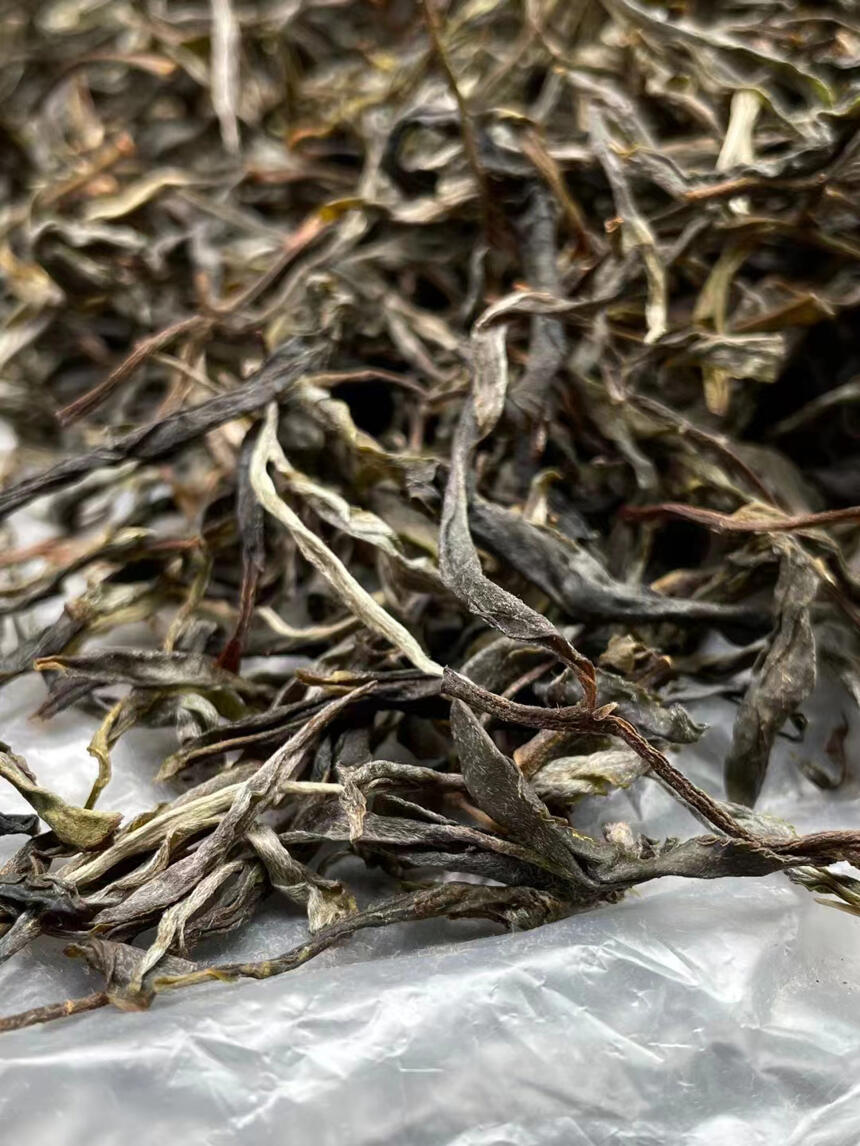 为什么勐库茶越来越受茶友欢迎？