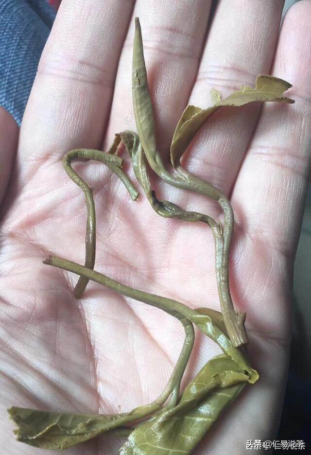 普洱茶仅仅是茶人的终点么？