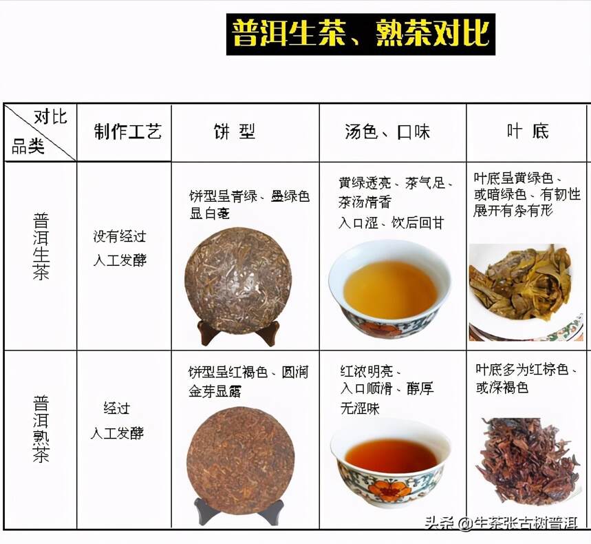 拒绝做普洱茶小白，简单易记的10大知识点，一定要记住