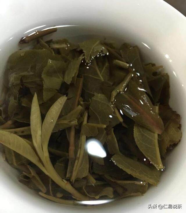 喝会了普洱茶能让你得到些什么？