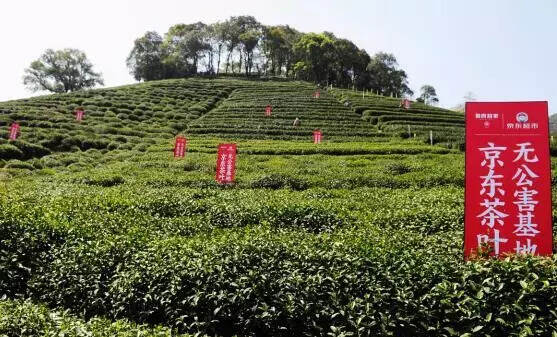 “降维打击”之下，你的茶还能卖给谁？