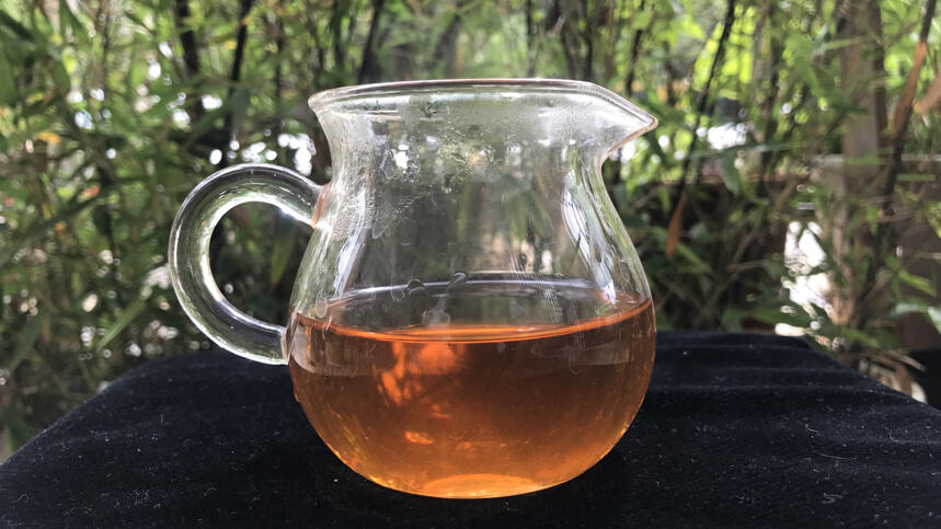 老徐鉴茶147期：思茅千家寨古树春茶品鉴报告（马来西亚茶友寄）