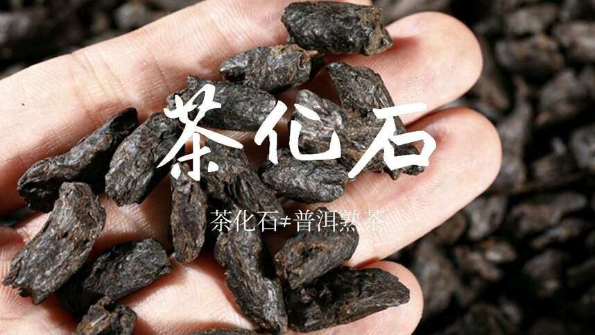 黑幕大揭秘：茶化石≠普洱熟茶