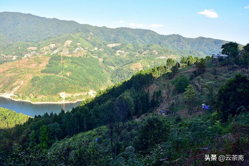 临沧最神秘的山头——绿水塘，会成为下一个冰岛吗？