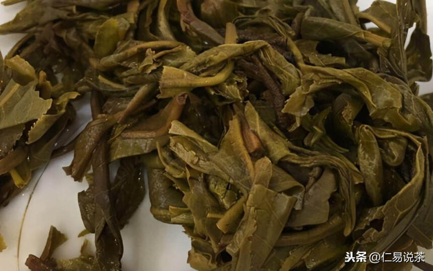 中国文化的优秀，普洱茶醒茶的秘密说明了什么？