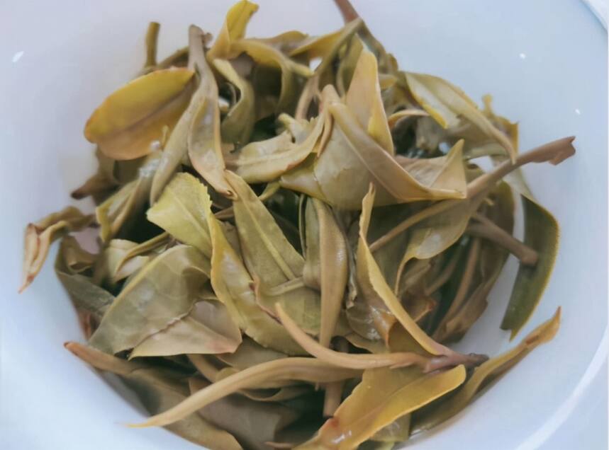 易武麻黑属于什么茶？有古树茶吗？麻黑普洱茶口感有哪些特点？