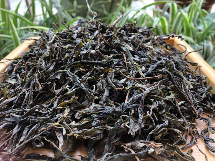 老徐谈茶266：普洱茶必须匀堆才能出厂？同一茶地的茶滋也会不同