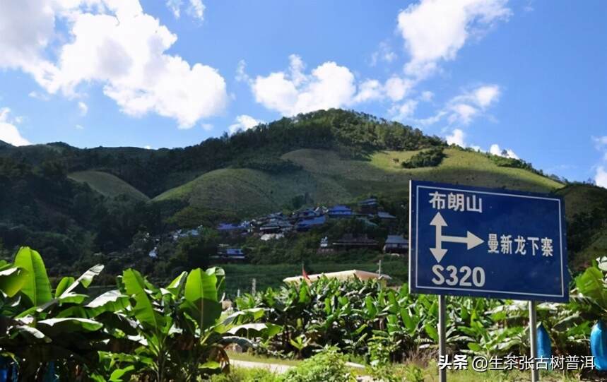 解析：布朗山8大村寨普洱茶特点，布朗山普洱茶知识大全