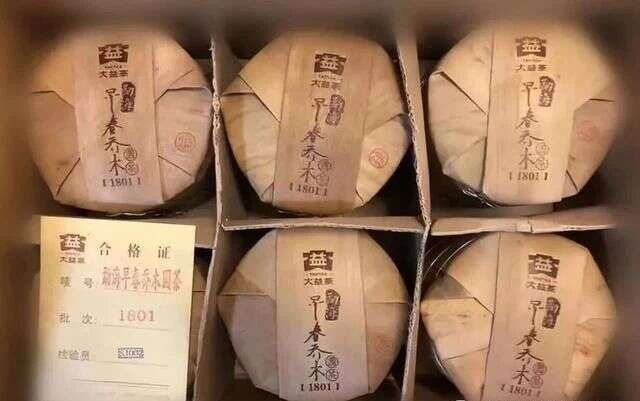 奠定高端熟茶的定位：2018年1801早春乔木熟茶