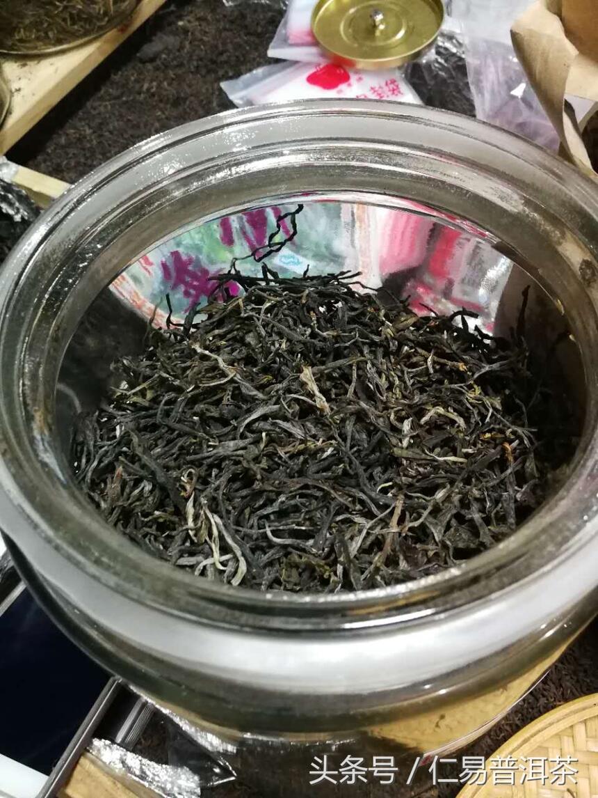 仁易说茶：不亚于老班章的600年树龄高杆古树单株赏析