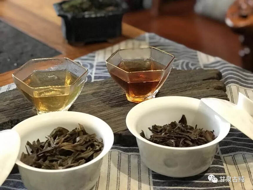 普洱茶好不好，一闷全知道