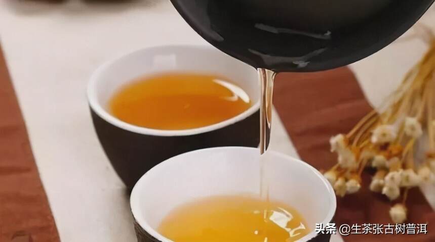 普洱茶树分类大全，普洱茶树的几种分类，一图全解