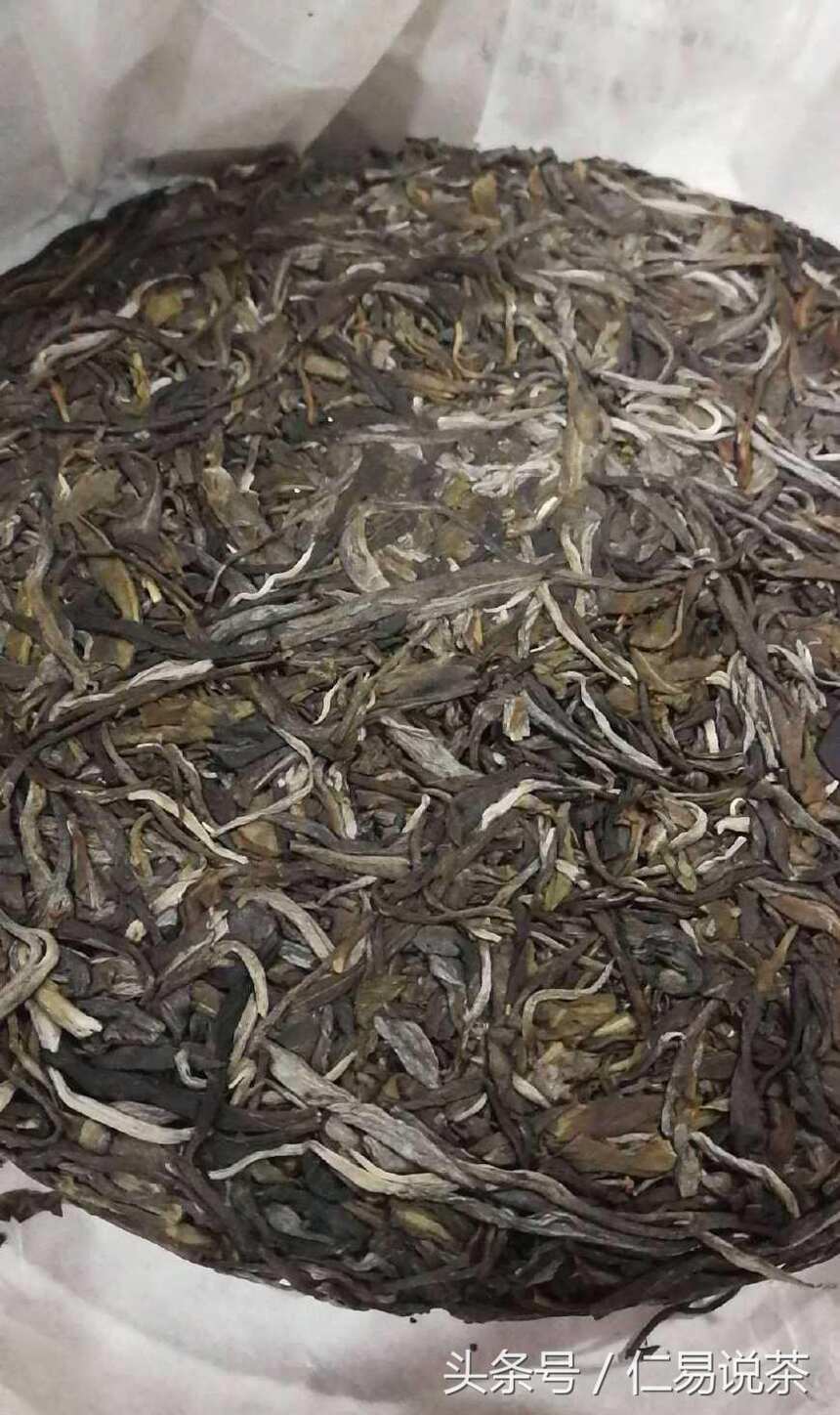 仁易说茶：用原生态普洱茶理论普及台地茶，茶会是个披着羊皮的狼