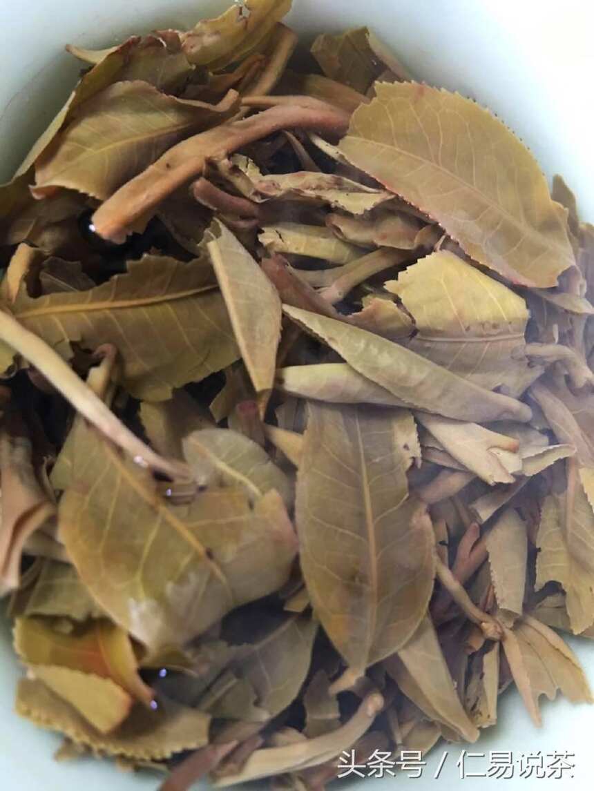 仁易说茶：普洱茶涉及的领域有哪些？理想化的普洱茶能否普及大众