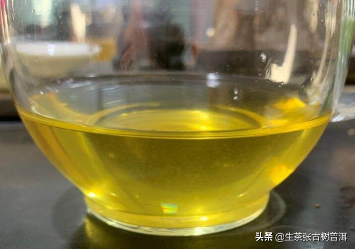 西双版纳9大出名的茶山，每个茶山有什么魅力？有什么特点？