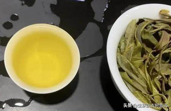 倚邦茶山的普洱茶，真的这么好喝吗？